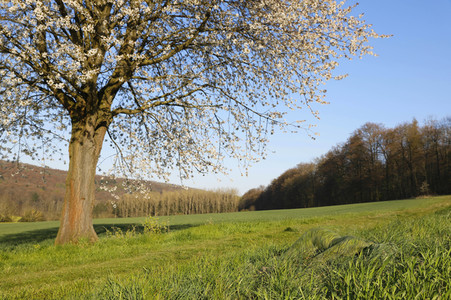 Bodypainting in Nature Kalender 2022