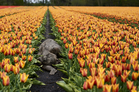 Bodypainting in Nature Kalender 2022