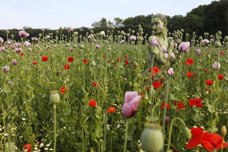 Bodypainting in Nature Kalender 2022