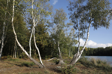 Bodypainting in Nature Kalender 2022