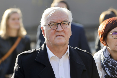 Frank-Walter Steinmeier besucht Flutgebiete in Rheinland-Pfalz