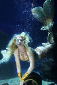 Meerjungfrau taucht ins Atlantis-Becken im AquaDom & Sea Life Berlin