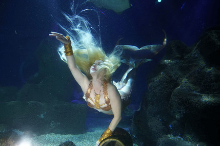 Meerjungfrau taucht ins Atlantis-Becken im AquaDom & Sea Life Berlin