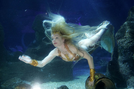 Meerjungfrau taucht ins Atlantis-Becken im AquaDom & Sea Life Berlin