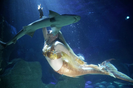 Meerjungfrau taucht ins Atlantis-Becken im AquaDom & Sea Life Berlin