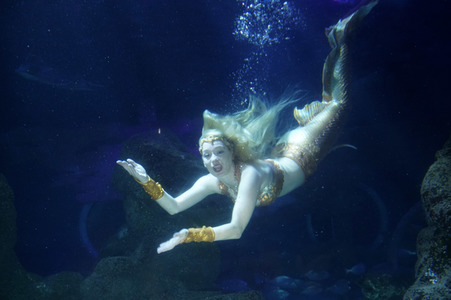 Meerjungfrau taucht ins Atlantis-Becken im AquaDom & Sea Life Berlin