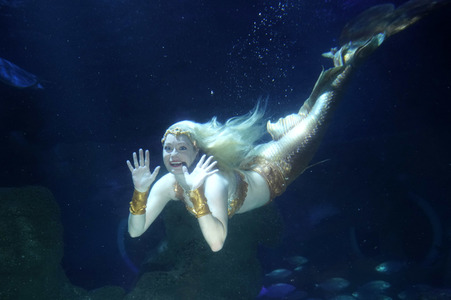 Meerjungfrau taucht ins Atlantis-Becken im AquaDom & Sea Life Berlin