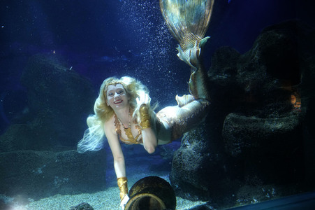 Meerjungfrau taucht ins Atlantis-Becken im AquaDom & Sea Life Berlin