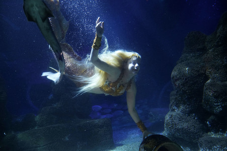 Meerjungfrau taucht ins Atlantis-Becken im AquaDom & Sea Life Berlin