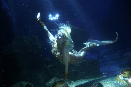 Meerjungfrau taucht ins Atlantis-Becken im AquaDom & Sea Life Berlin