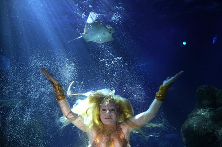 Meerjungfrau taucht ins Atlantis-Becken im AquaDom & Sea Life Berlin