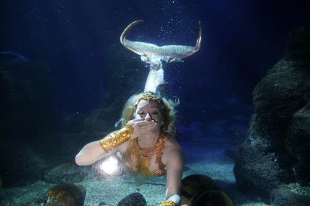 Meerjungfrau taucht ins Atlantis-Becken im AquaDom & Sea Life Berlin