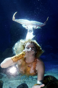 Meerjungfrau taucht ins Atlantis-Becken im AquaDom & Sea Life Berlin