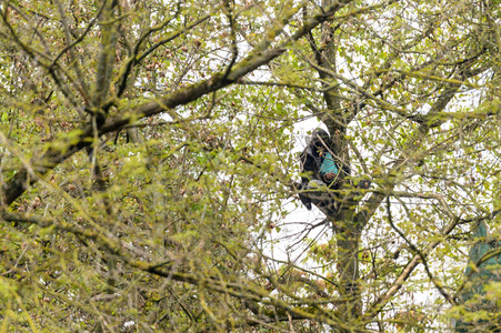 Räumung des Wagencamps 'Köpi' in Berlin