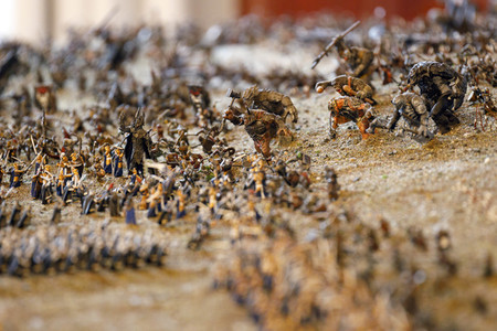 MagicCon 2021 in Bonn