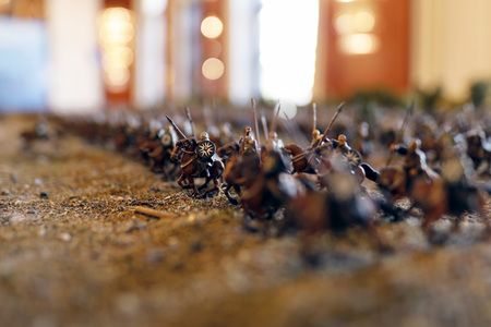 MagicCon 2021 in Bonn