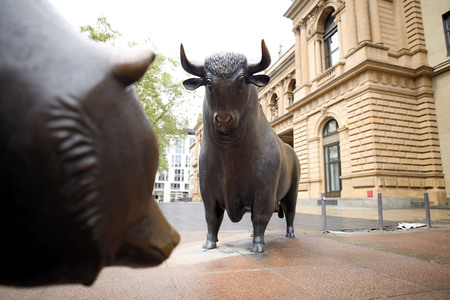 Symbolfoto Bulle und Bär
