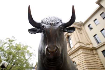 Symbolfoto Bulle und Bär