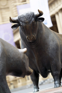 Symbolfoto Bulle und Bär