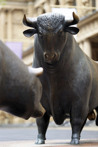 Symbolfoto Bulle und Bär