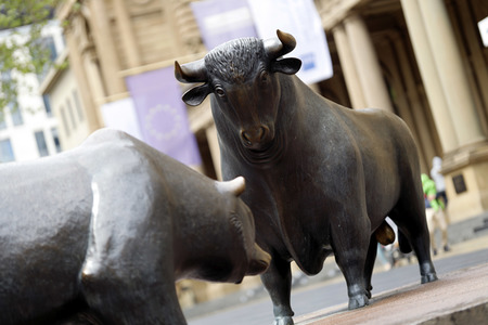 Symbolfoto Bulle und Bär