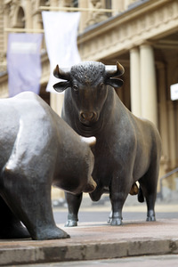 Symbolfoto Bulle und Bär