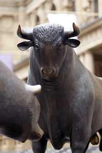 Symbolfoto Bulle und Bär