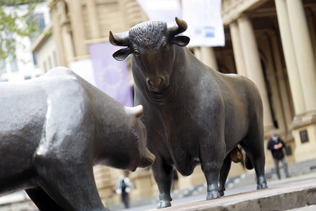 Symbolfoto Bulle und Bär