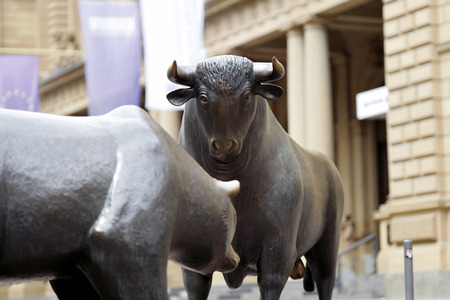 Symbolfoto Bulle und Bär