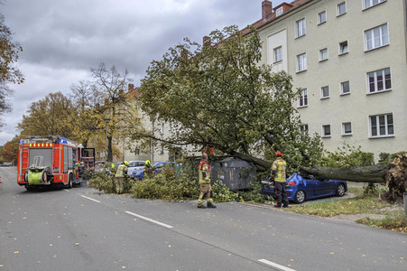 Sturmschäden durch Sturmtief Ignatz in Berlin
