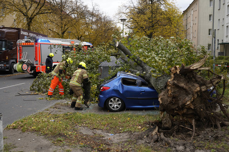 Sturmschäden durch Sturmtief Ignatz in Berlin