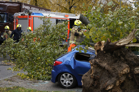 Sturmschäden durch Sturmtief Ignatz in Berlin