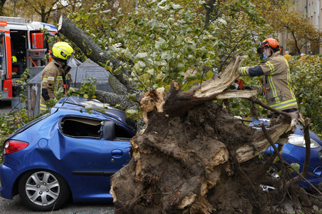 Sturmschäden durch Sturmtief Ignatz in Berlin
