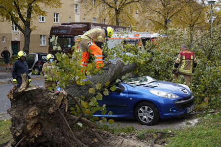 Sturmschäden durch Sturmtief Ignatz in Berlin