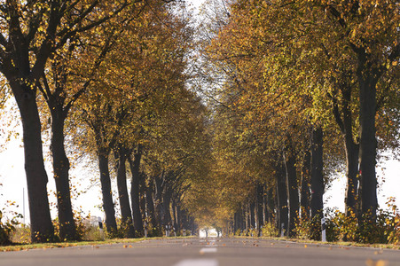 Symbolfoto Goldener Herbst