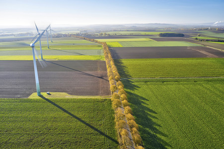Symbolfoto Goldener Herbst