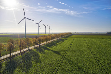 Symbolfoto Goldener Herbst