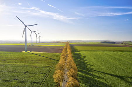 Symbolfoto Goldener Herbst