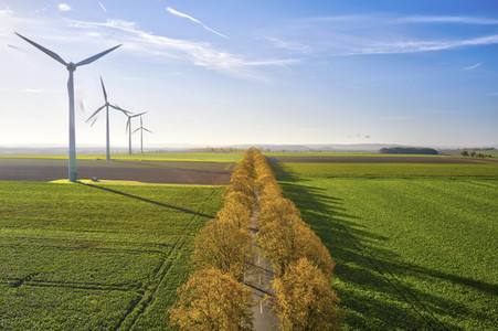 Symbolfoto Goldener Herbst