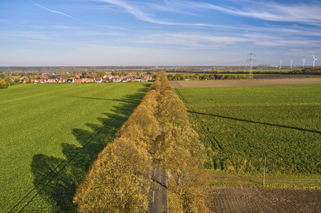 Symbolfoto Goldener Herbst