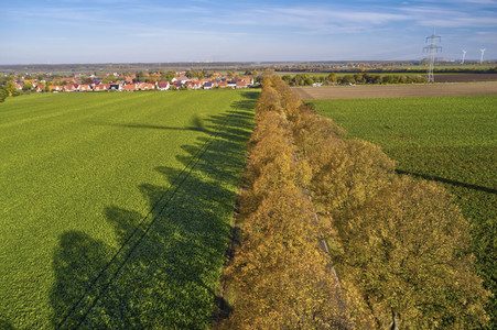 Symbolfoto Goldener Herbst