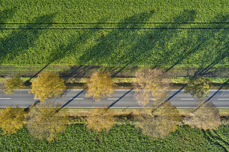 Symbolfoto Goldener Herbst