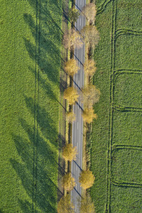 Symbolfoto Goldener Herbst