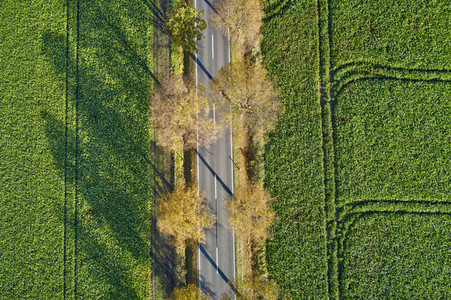 Symbolfoto Goldener Herbst