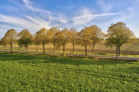 Symbolfoto Goldener Herbst
