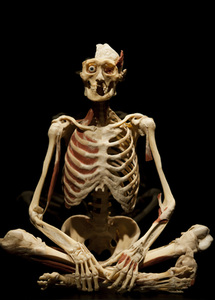 Ausstellung 'Body Worlds - The Rhythm of Life' in Madrid