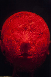 Ausstellung 'Body Worlds - The Rhythm of Life' in Madrid