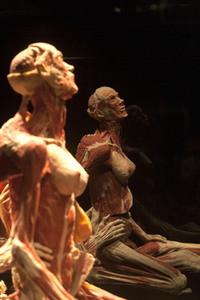 Ausstellung 'Body Worlds - The Rhythm of Life' in Madrid