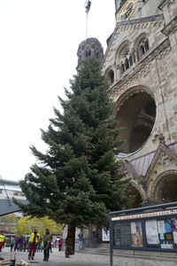 Weihnachtsbaumaufstellung auf dem Breitscheidplatz in Berlin