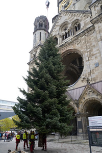 Weihnachtsbaumaufstellung auf dem Breitscheidplatz in Berlin